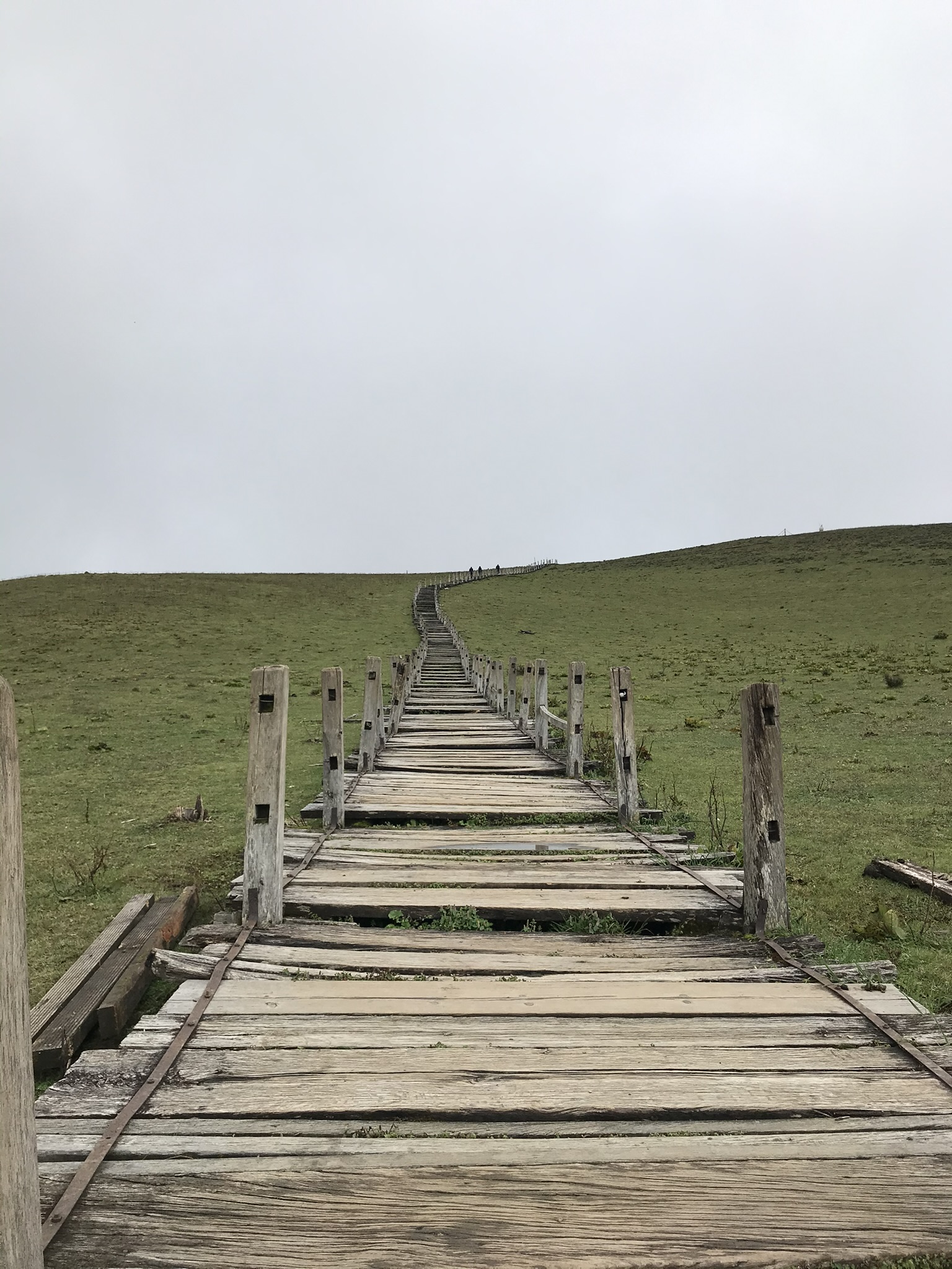 Alpine meadow beneath snow-capped peaks at Yak Meadow in Lijiang, China.
