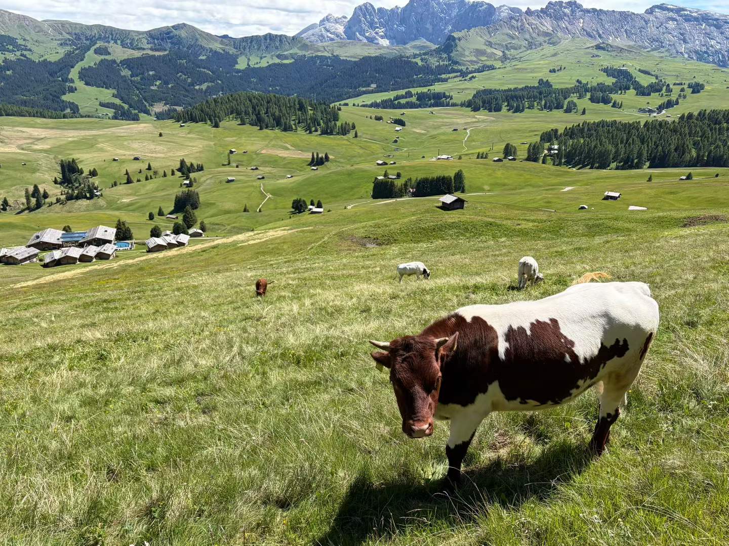 Alpe di Siusi in Ortisei, Italy.