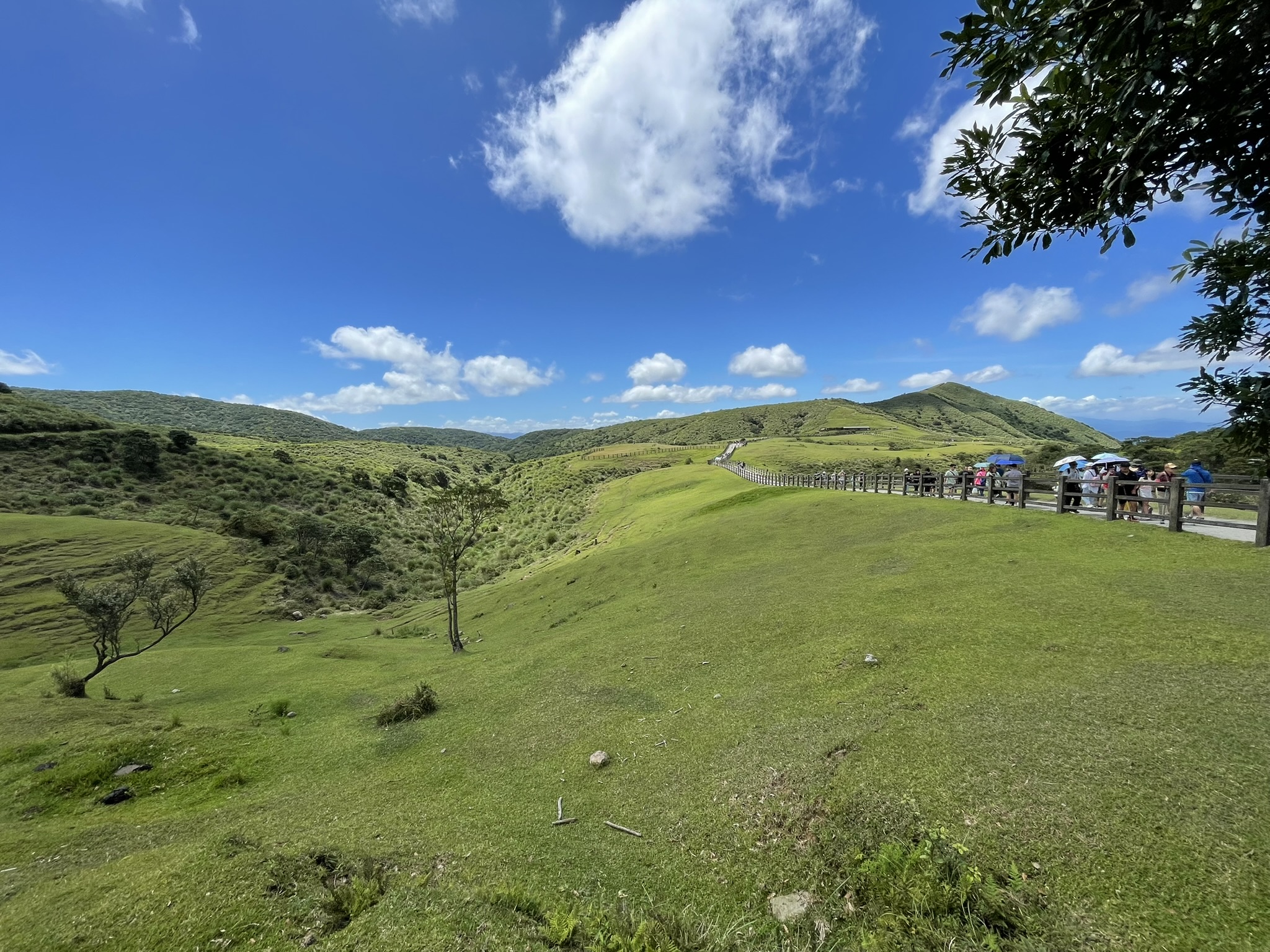 Lush volcanic landscape of Yangmingshan National Park in Taipei, Taiwan.