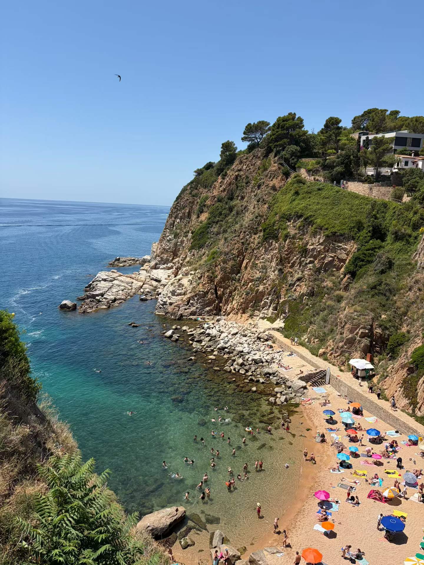 Jelly sea in Tossa de Mar, Spain.
